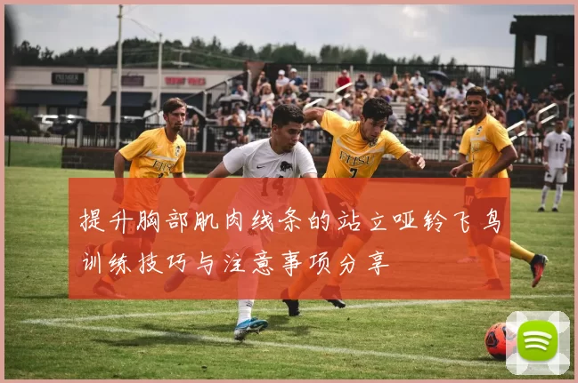 提升胸部肌肉线条的站立哑铃飞鸟训练技巧与注意事项分享