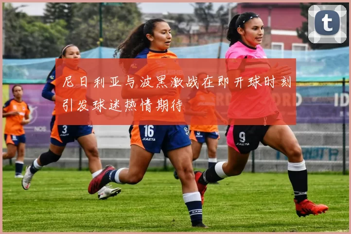 尼日利亚与波黑激战在即开球时刻引发球迷热情期待