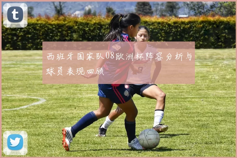 西班牙国家队08欧洲杯阵容分析与球员表现回顾