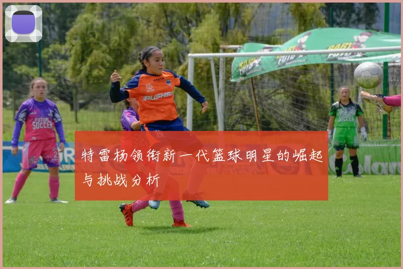 特雷杨领衔新一代篮球明星的崛起与挑战分析